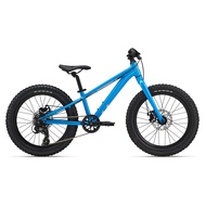 Bicicleta Copii GIANT STP 20"er Liv Al Blue