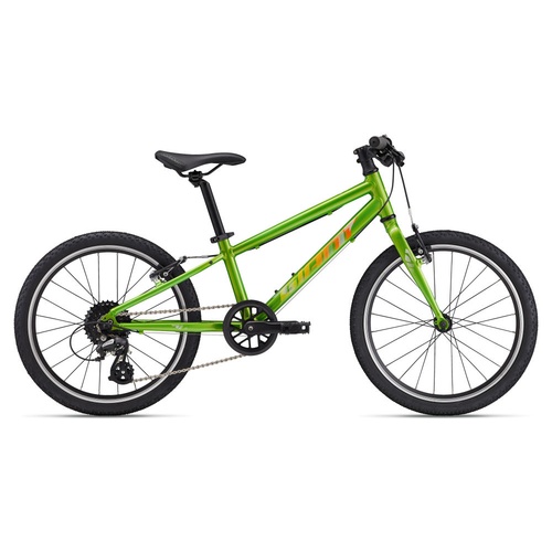 Bicicleta Copii GIANT 2025 ARX 20"er Metallic Green