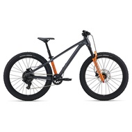 Bicicleta Copii Giant STP 24 Black Chrome